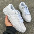 Nike Dunk SB Low Pro