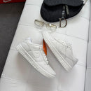 Nike Dunk SB Low Pro