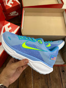 Nike Pegasus 41