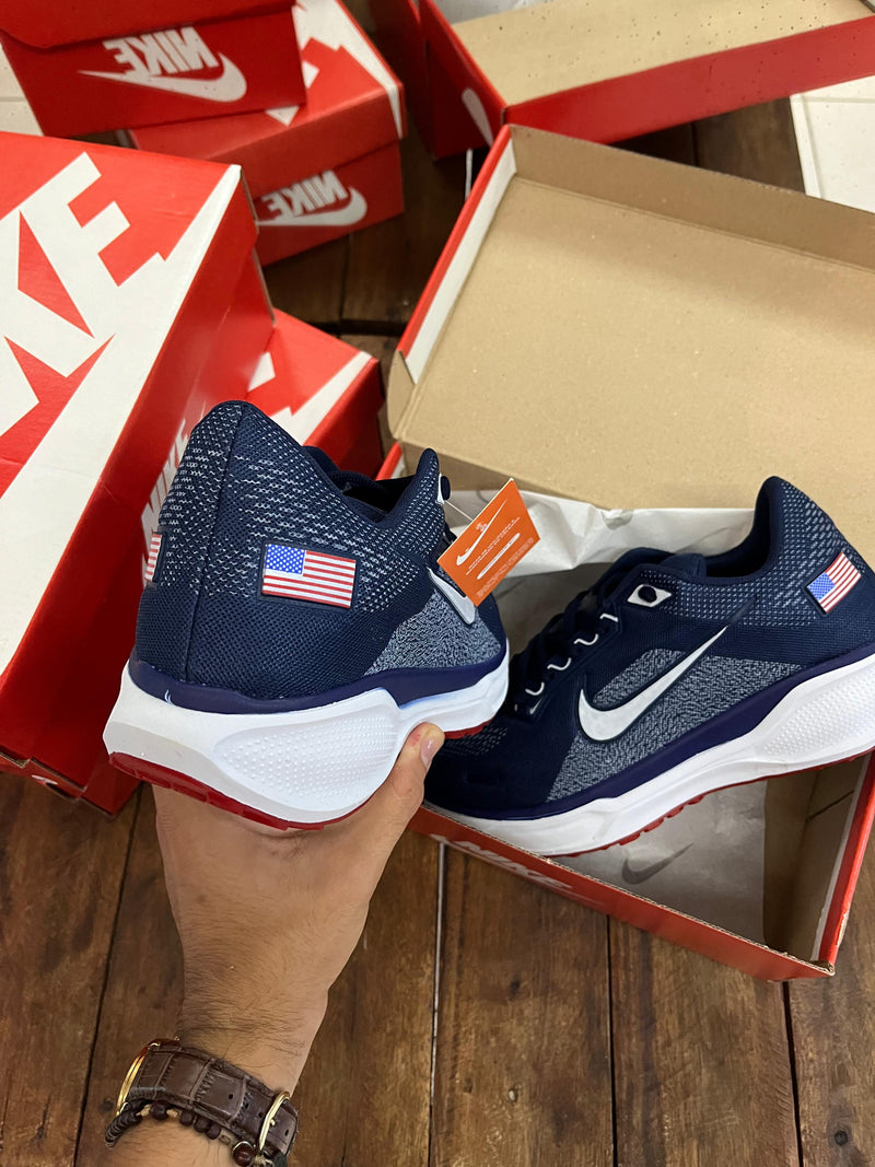 Nike Pegasus 41