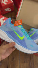 Nike Pegasus 41
