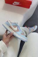 Nike Dunk SB Low Pro